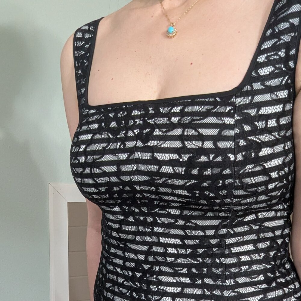 Banana Republic Fit And Flare Pleated Lace Overlay Dress Size 6